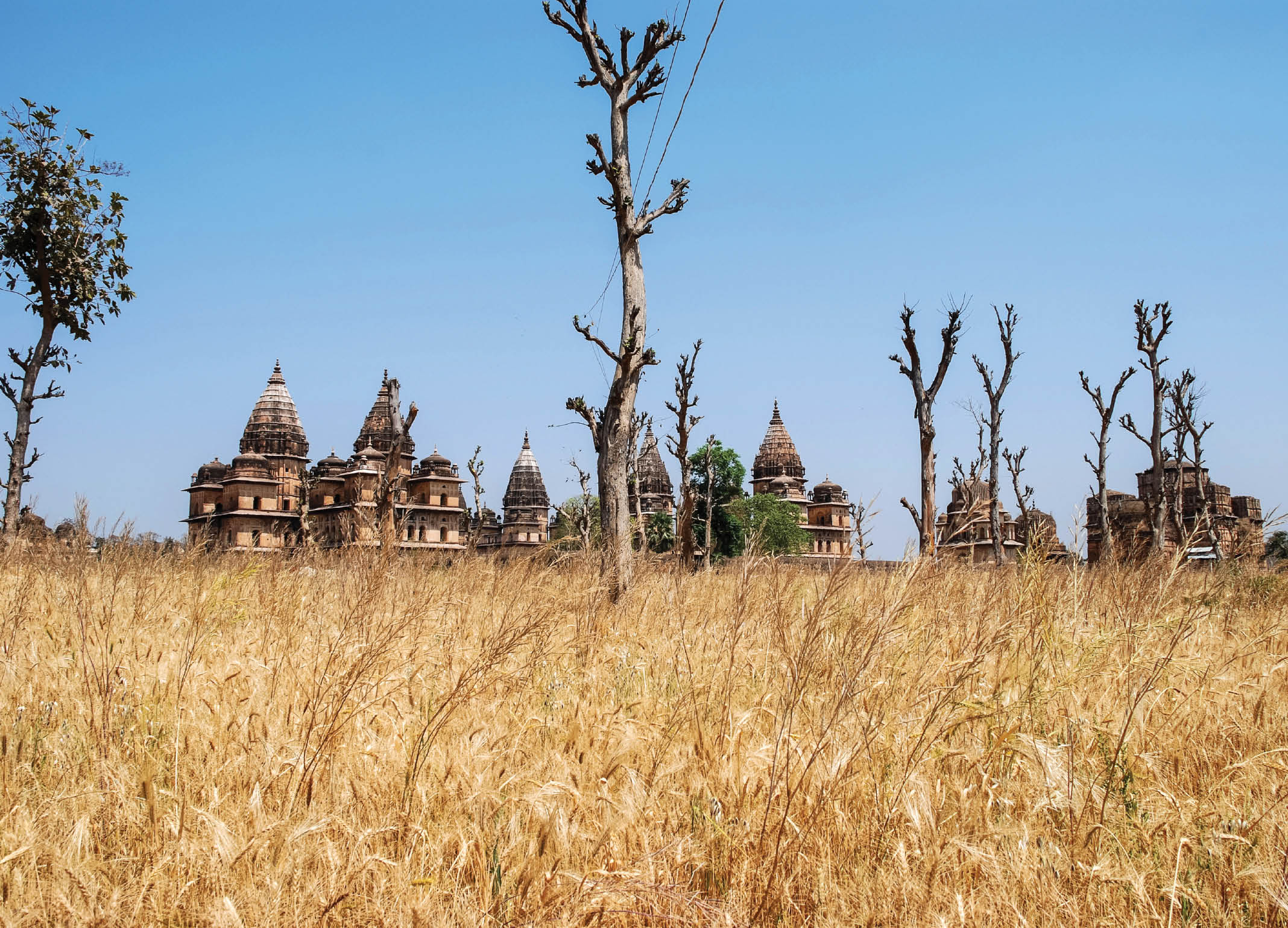 GNY Agricultural Land Use Changes In India